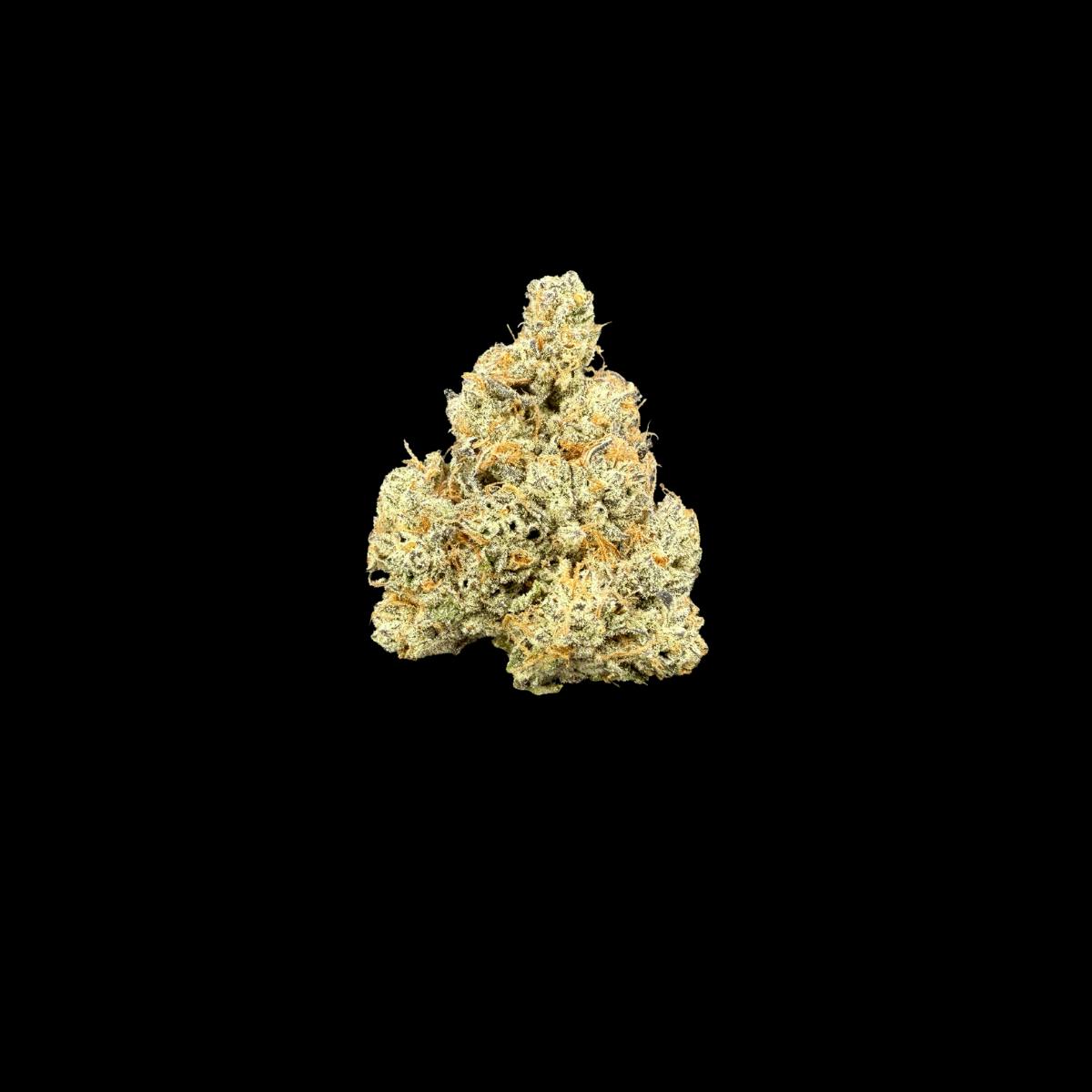 Death Kiss (Flower)