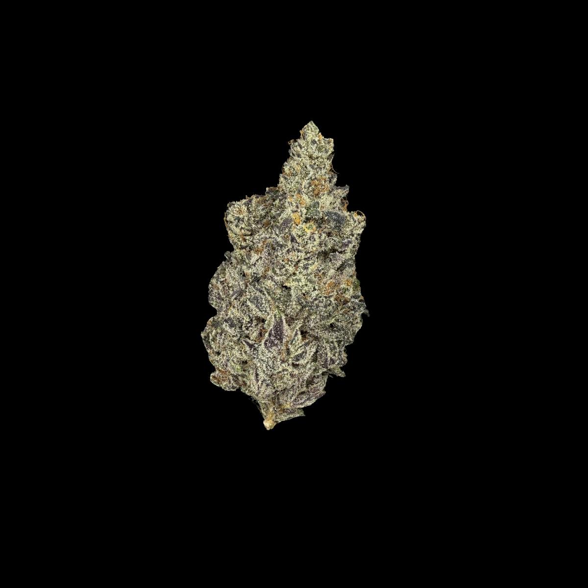 Frostee (Flower)