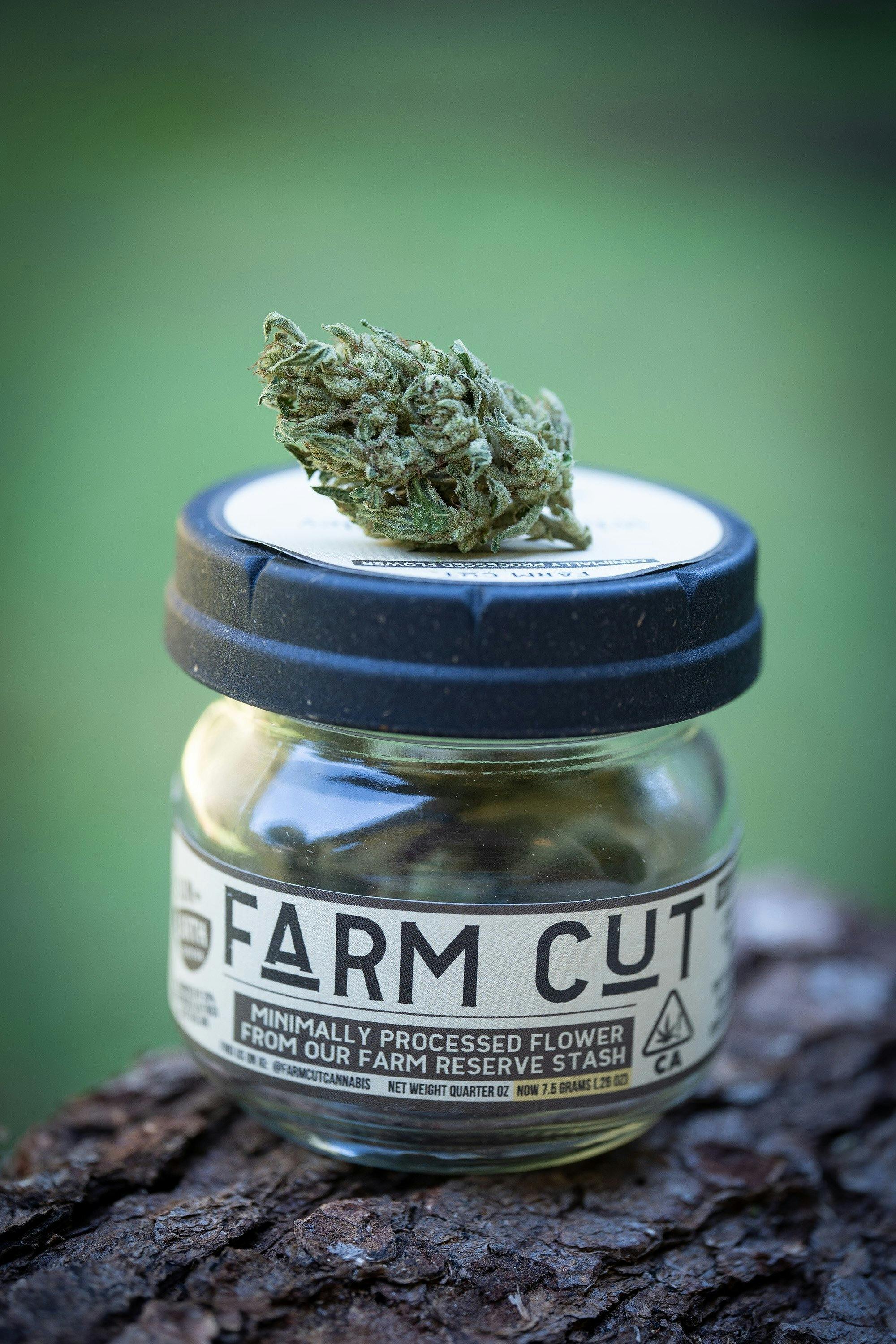 Farm Cut: X Emerald Spirit Botanicals