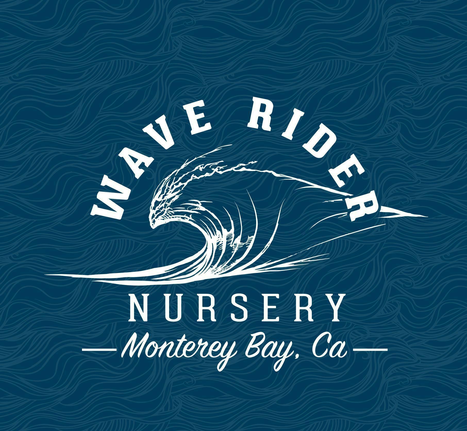 Wave Rider: Gello Shotz