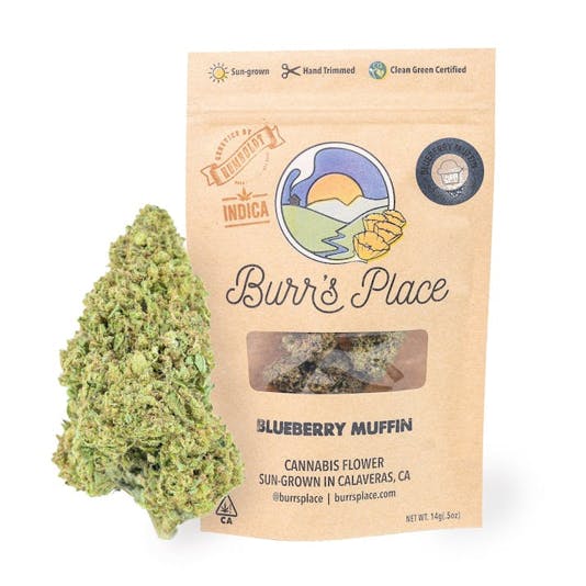 Burr's Place: Blueberry Muffin