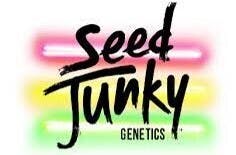 SEED JUNKY: Paradisi - Flower - 7g