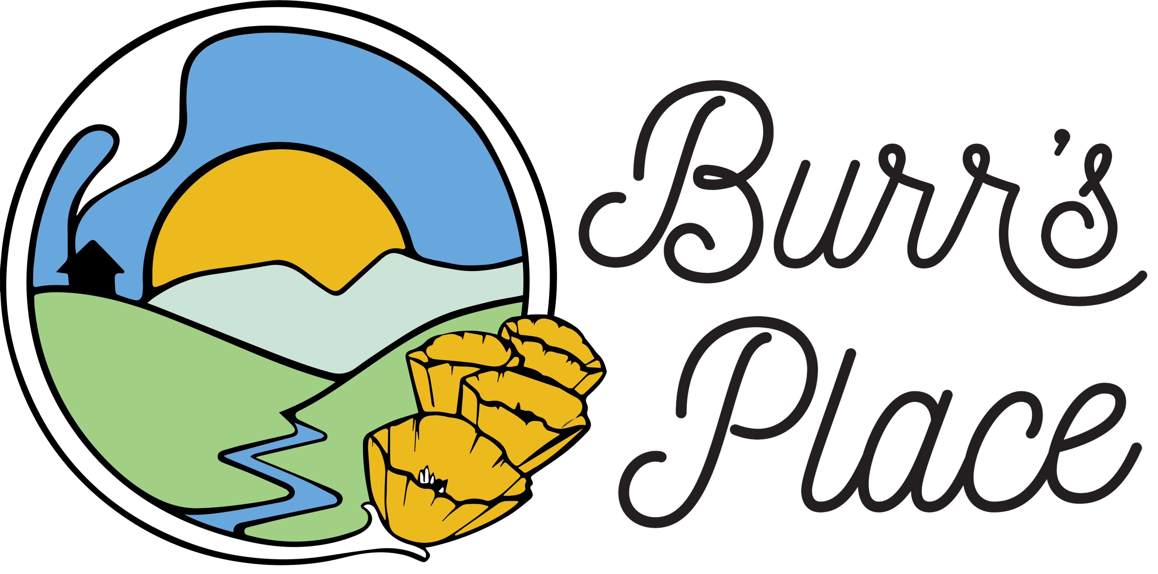 Burr's Place: Carbon Fiber