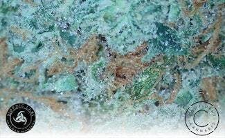 Blue Dream | Bulk Flower