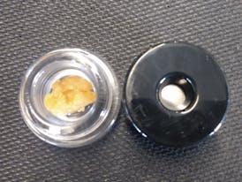 Montana Silvertip budder