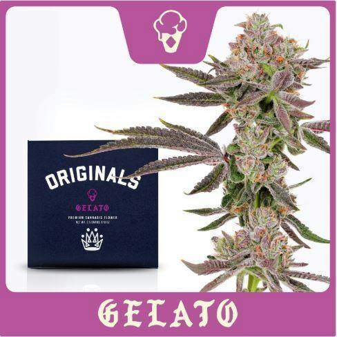 Gelato 14G