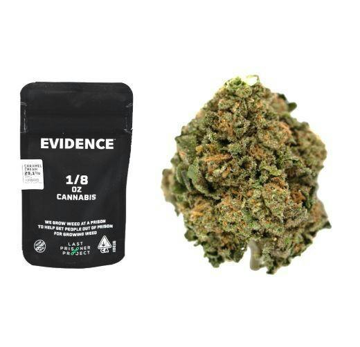 Evidence | Grape Sorbet 3.5G
