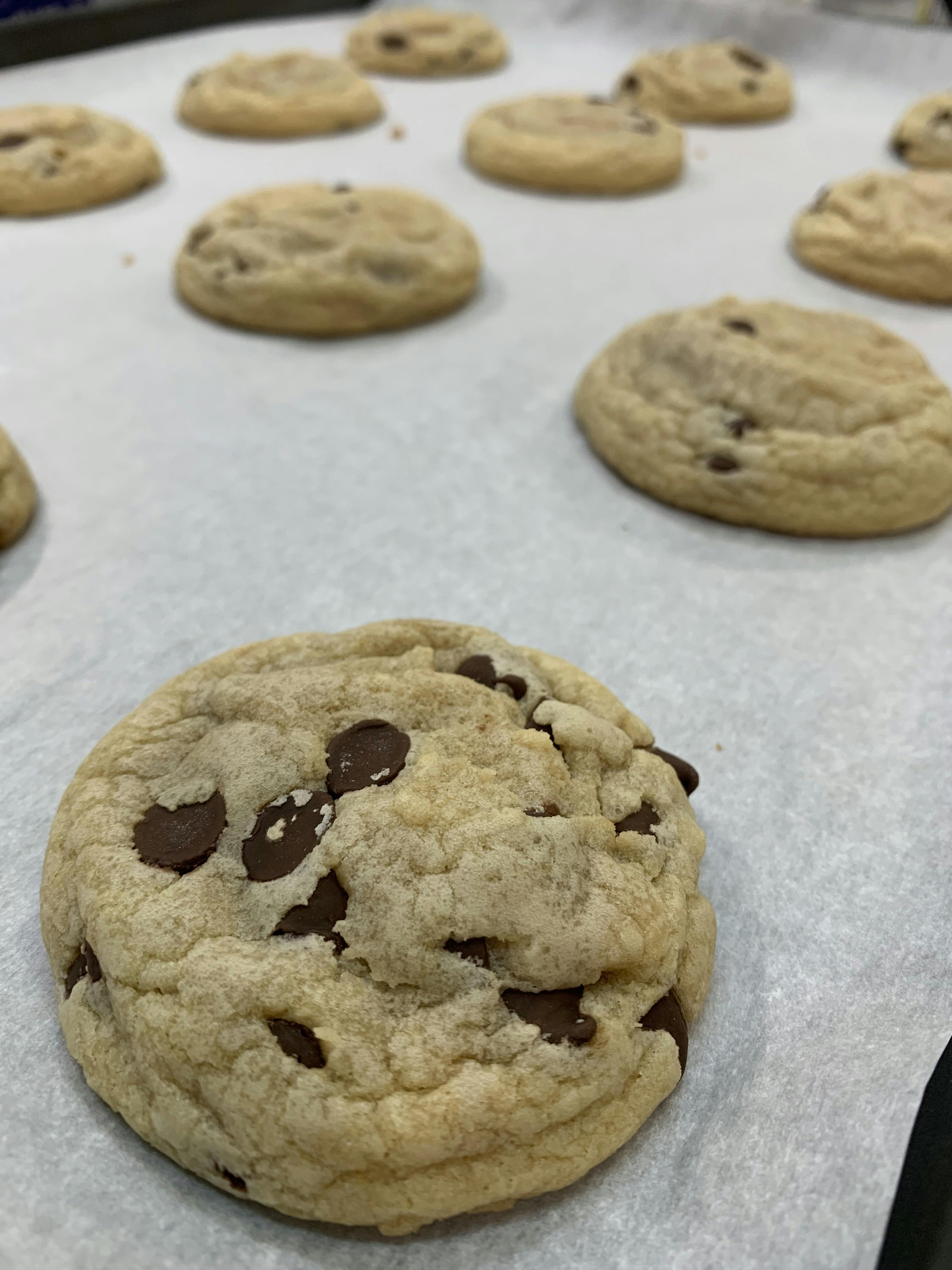 Chocolate Chip Cookie 50mg