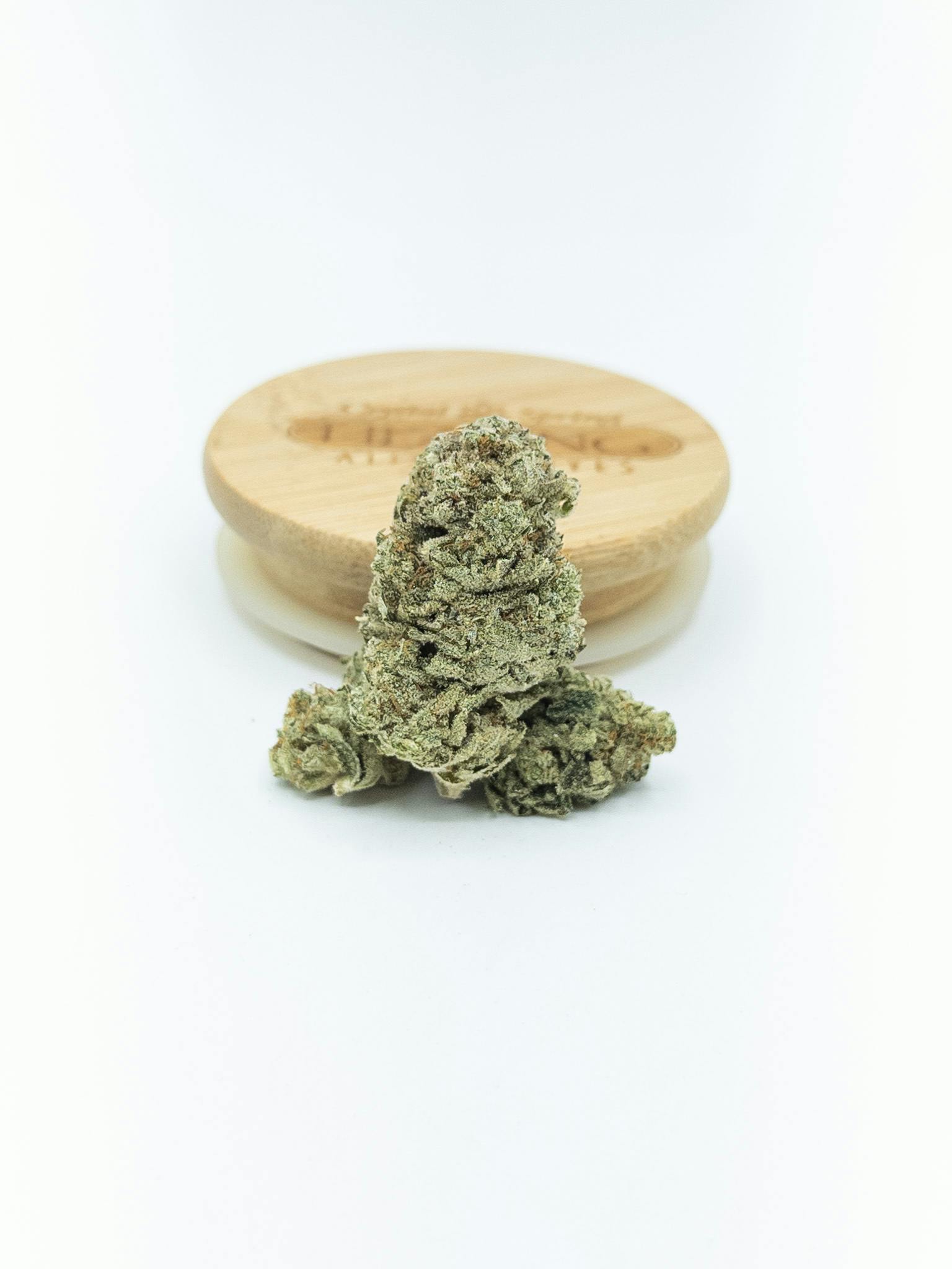G-13