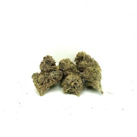 GMO | Deli Jar | Indica