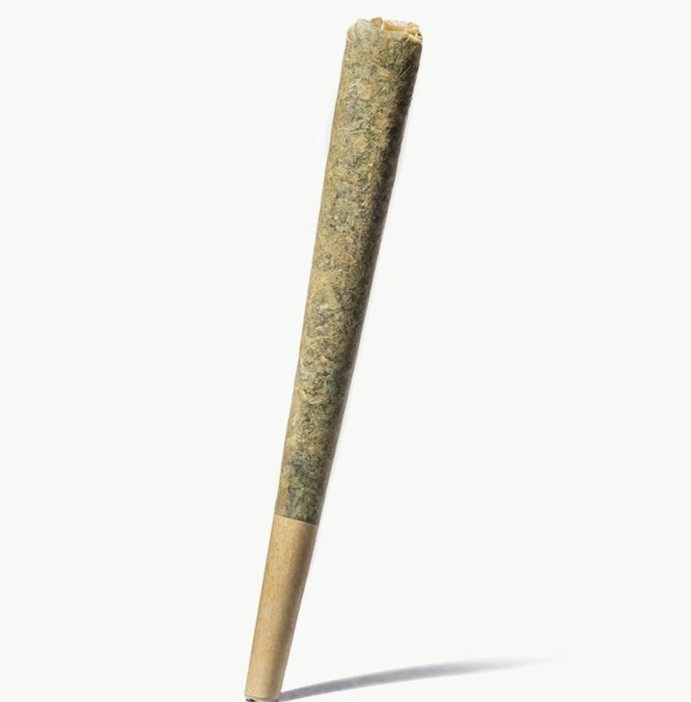 Rugged Roots | Runtz Pre Roll 1g by Rugged Roots