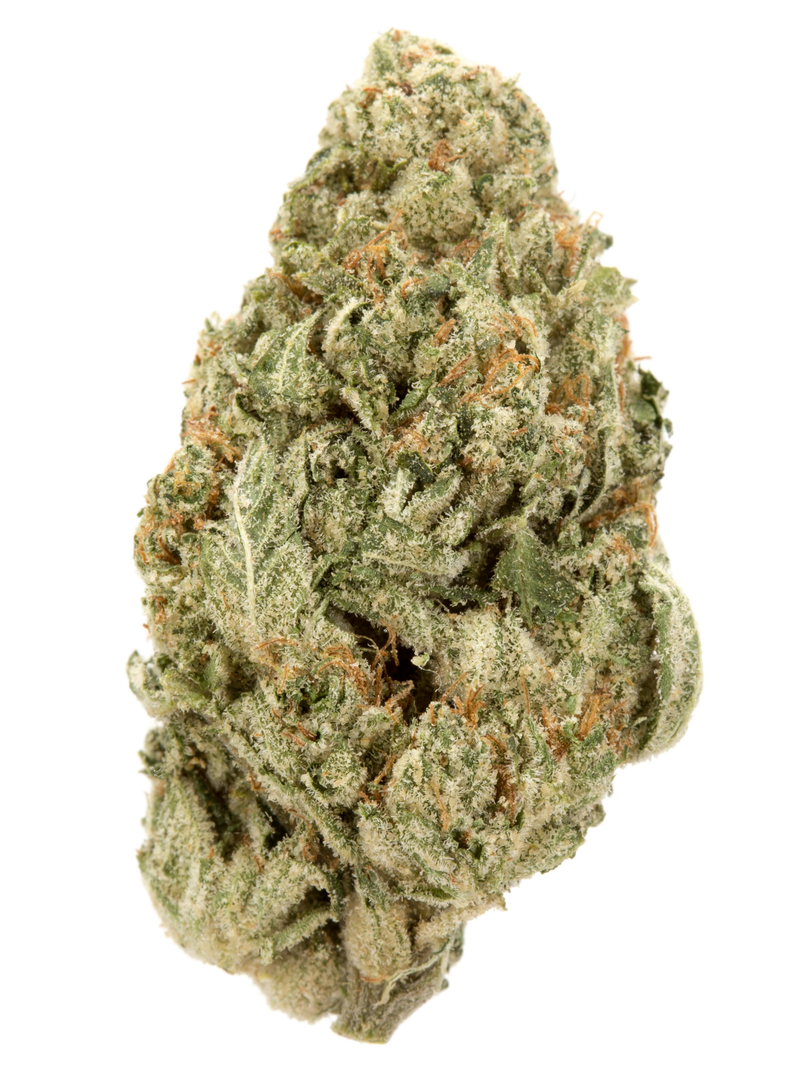 Exodus Cheese