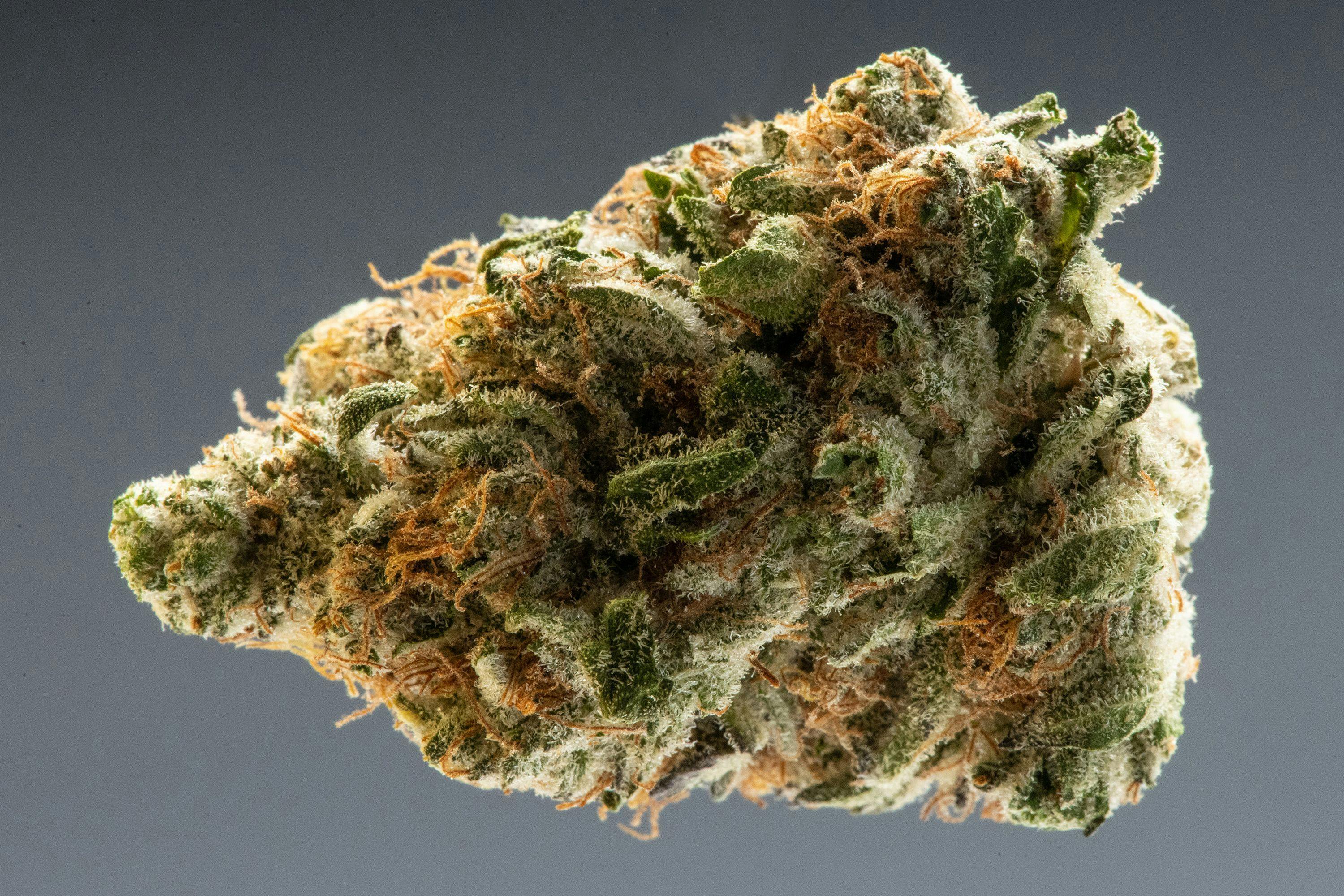 Aggregate 132+ peach rings strain best awesomeenglish.edu.vn