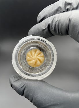 Wisely Hash - GMO Live Rosin, 1g