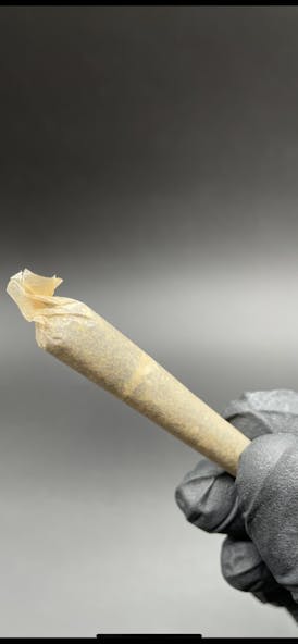 Wisely Hash Pre Roll - First Class Funk