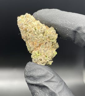 Wisely Cannabis - Chimera