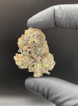 Wisely Cannabis - Trufflez