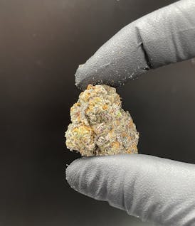 Wisely Cannabis - Oreo Blizzard