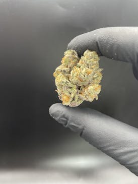 Wisely Cannabis - Donkey Kong