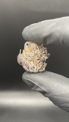 Wisely Cannabis - Black Trufflez (ONE DISPLAY EIGHTH LEFT)