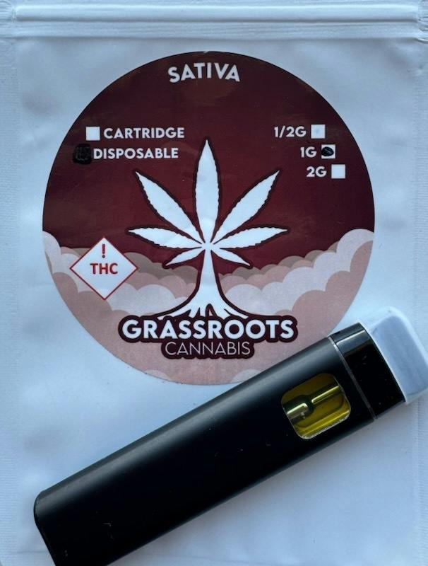 1gm Disposable- Amnesia