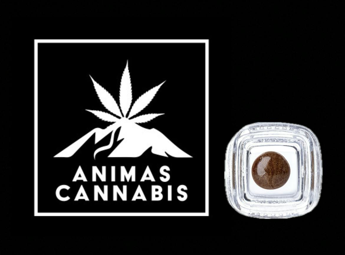 OLD WORLD HASH