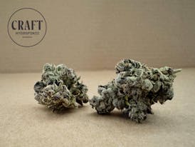 Craft Hydroponic Prepacked 8th