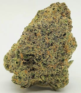 Jack Herer