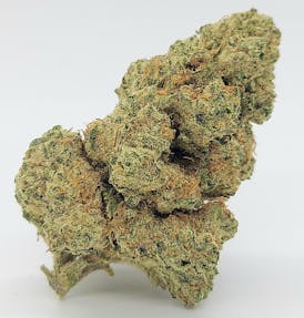 Mimosa