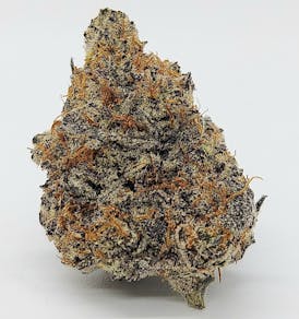 Maui Milk
