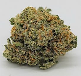 Jack Herer
