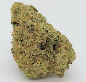 Lodi Dodi