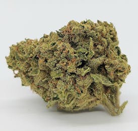 Blueberry Muffin