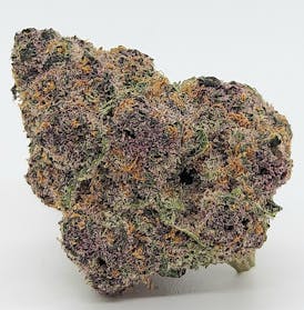 Tropicanna Cherry