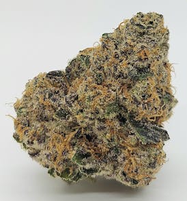 Caribbean Breeze
