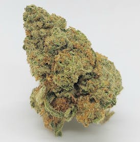 Mimosa