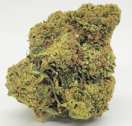 Jelly Breath