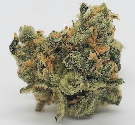 Jack Herer