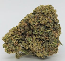 Apple Fritter