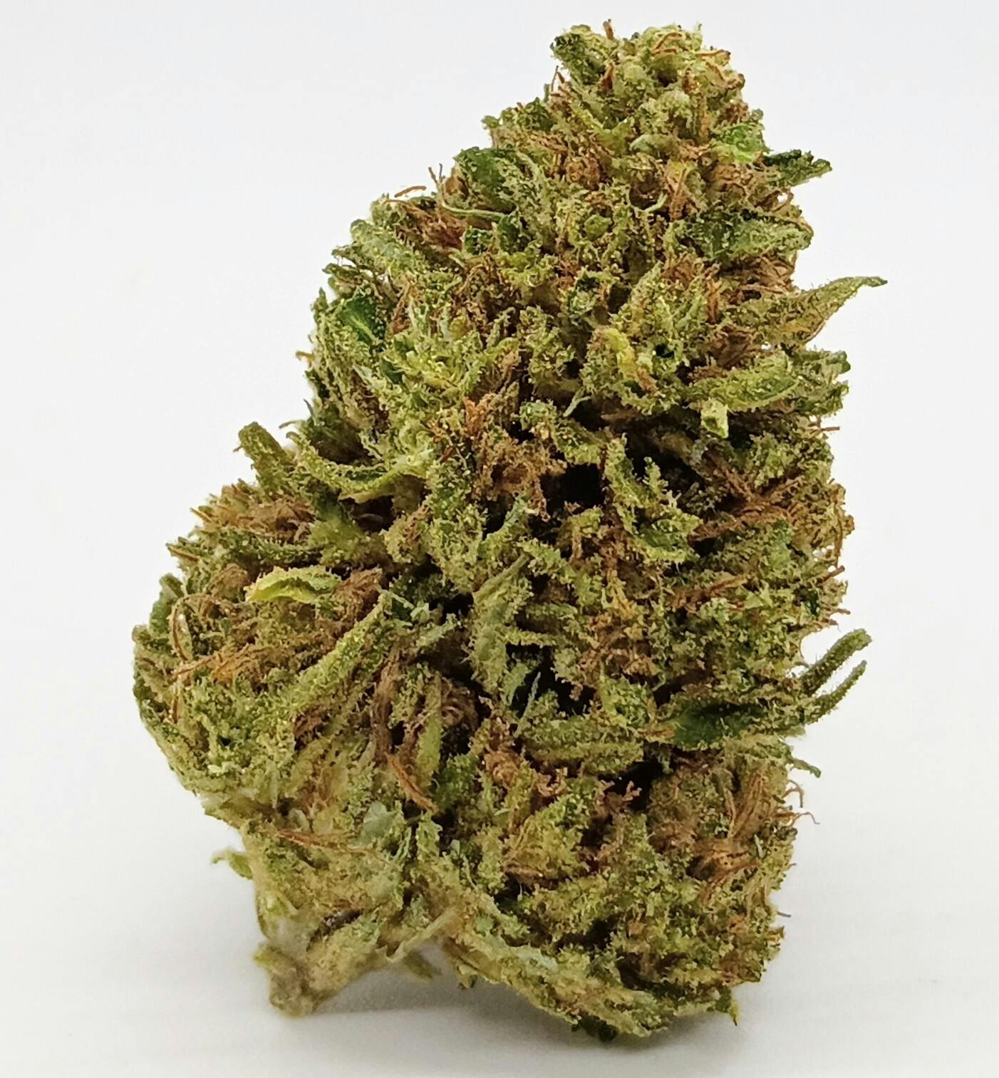 Oregon Guava CBD