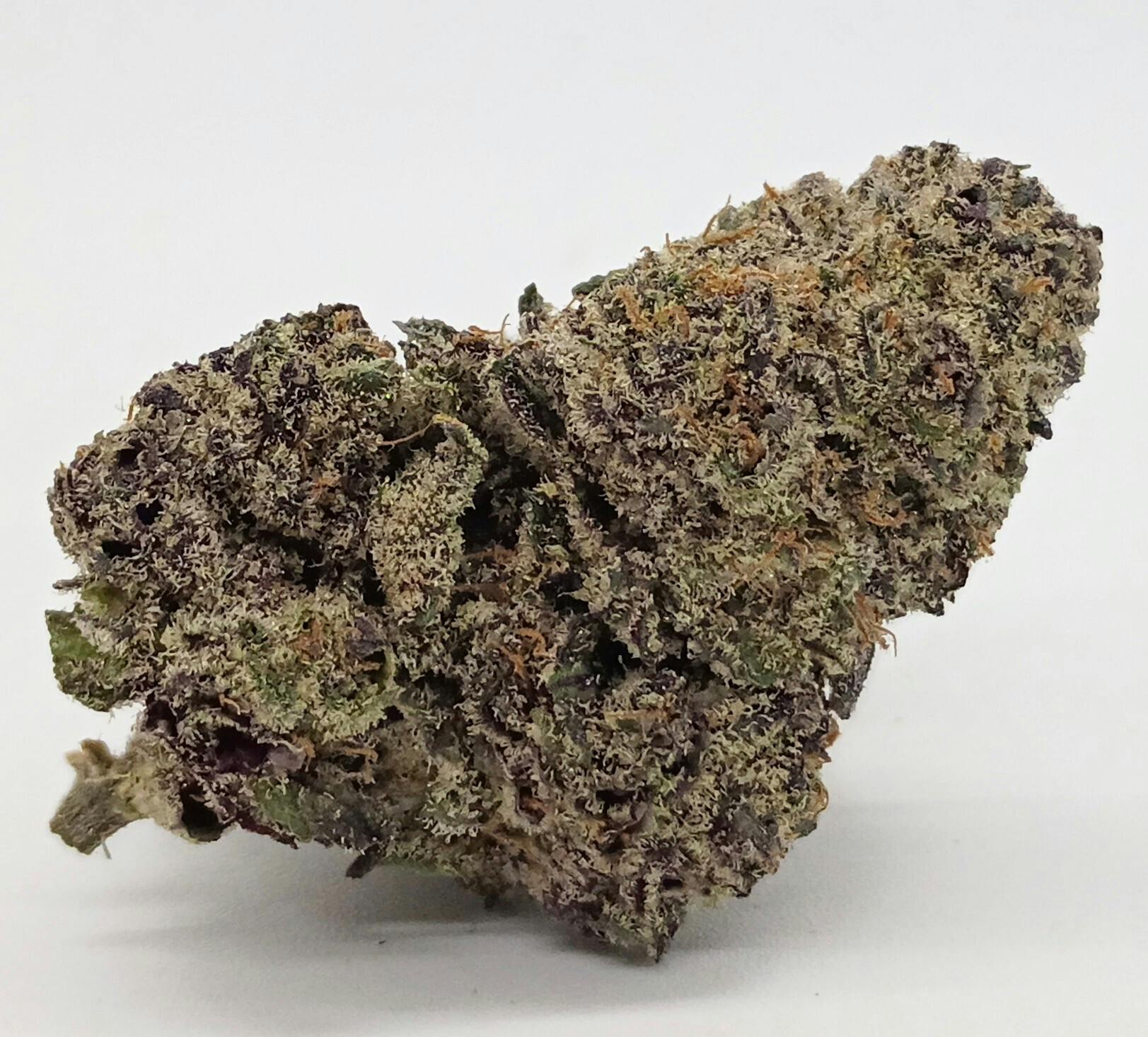 Grape Lobster