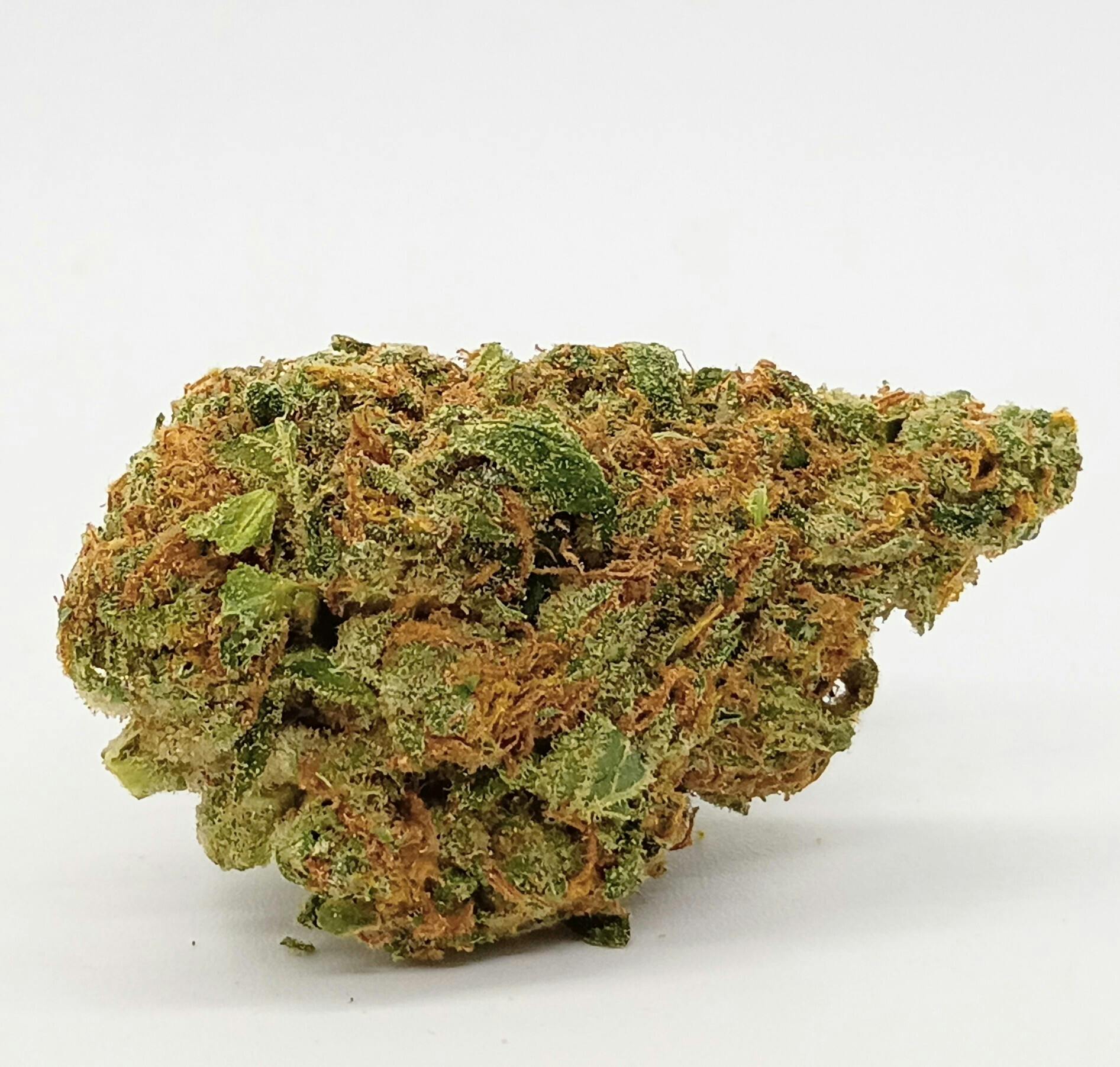Nigerian Amnesia