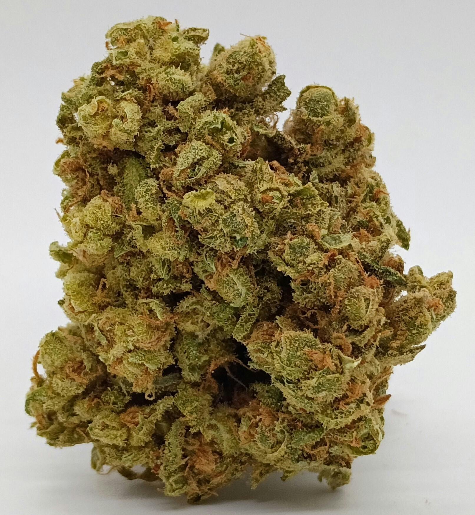 Skunk #1