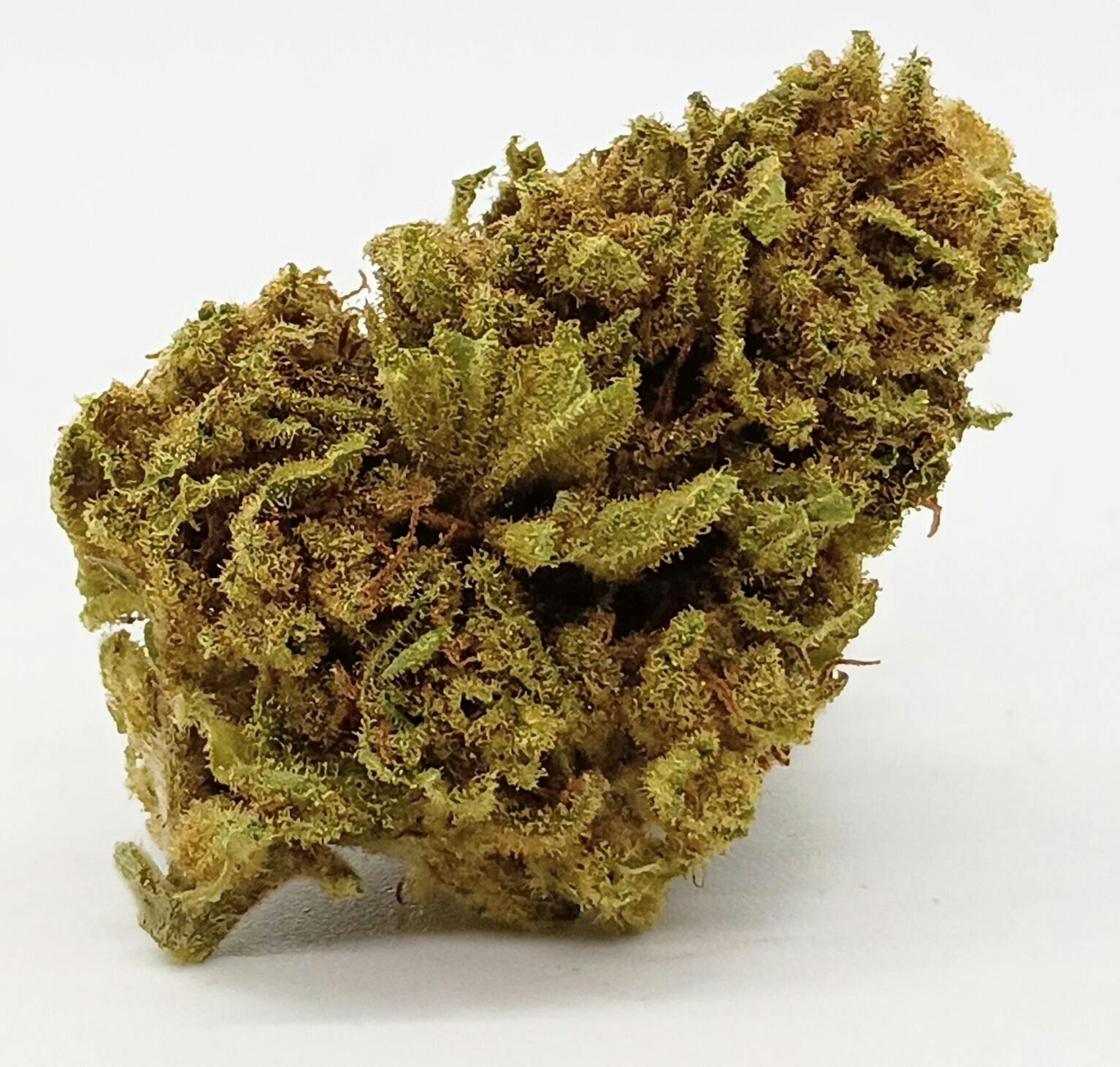 Acapulco Gold