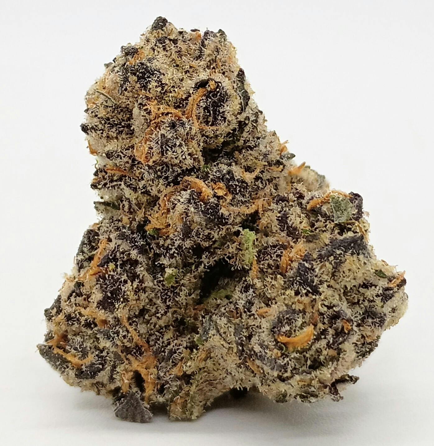 Pacific Purple