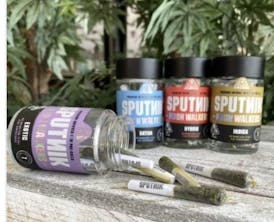 Sputnik Pre Roll Pack of 7