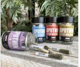 Sputnik Pre Roll Pack of 7