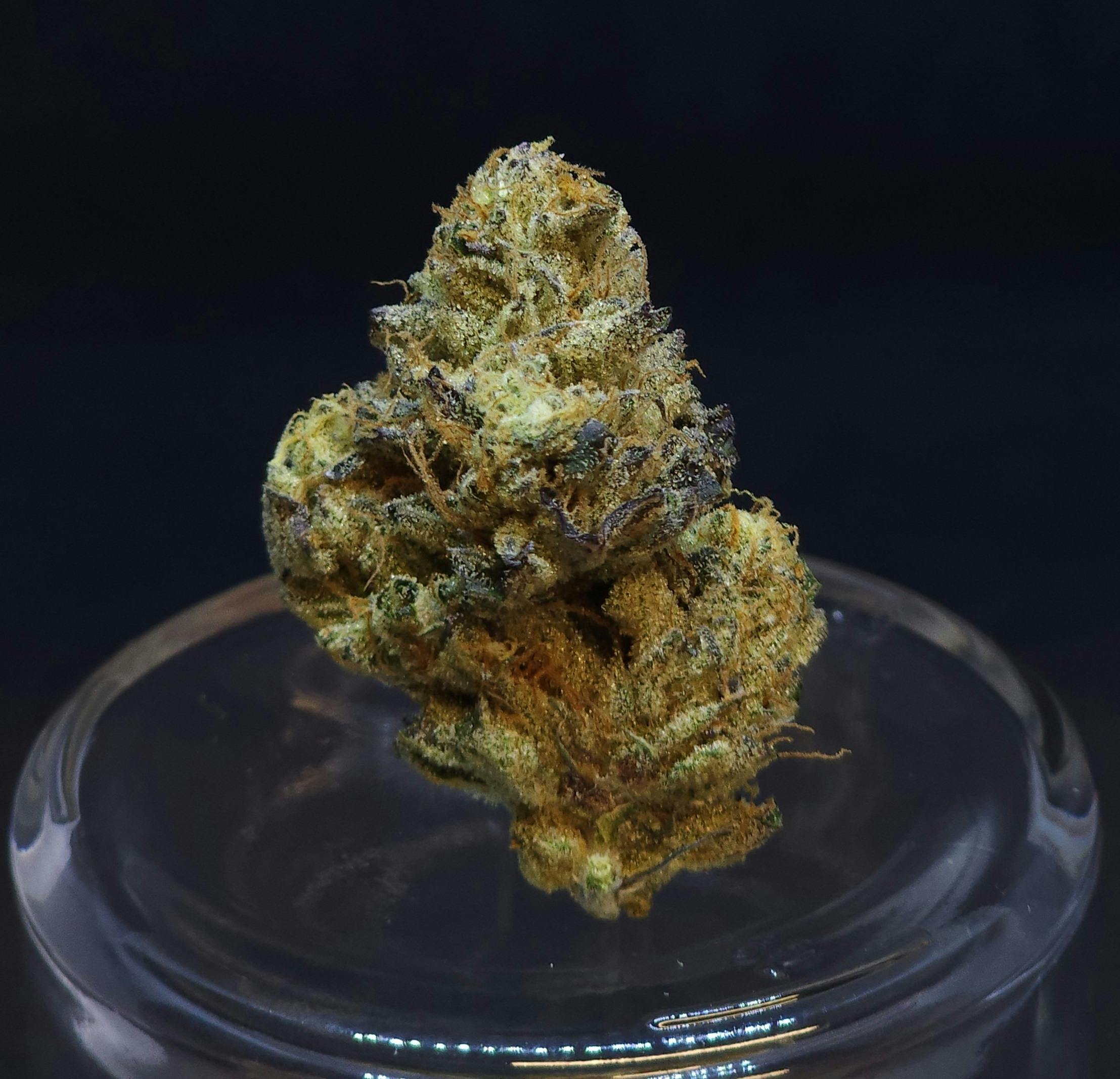 Daily Deal - AK Cake 14g Flower