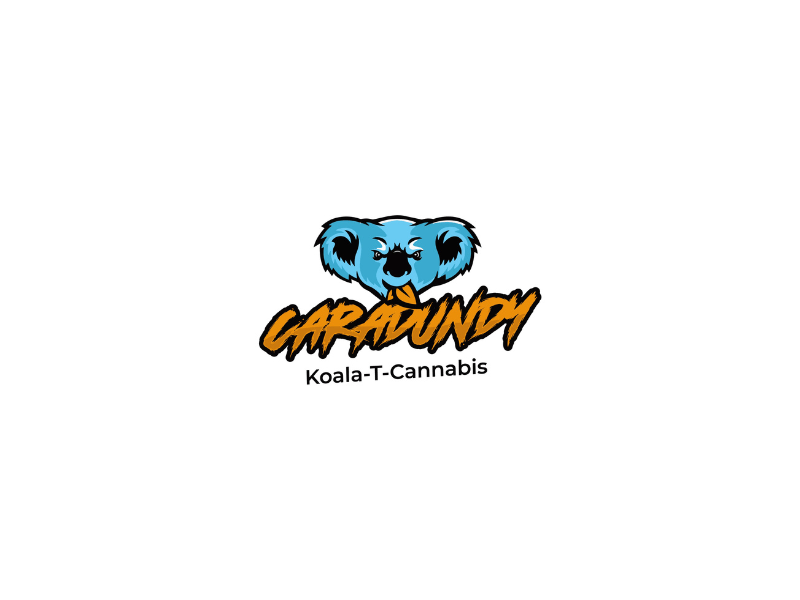 Flop Sweat .5g Disposable - Caradundy