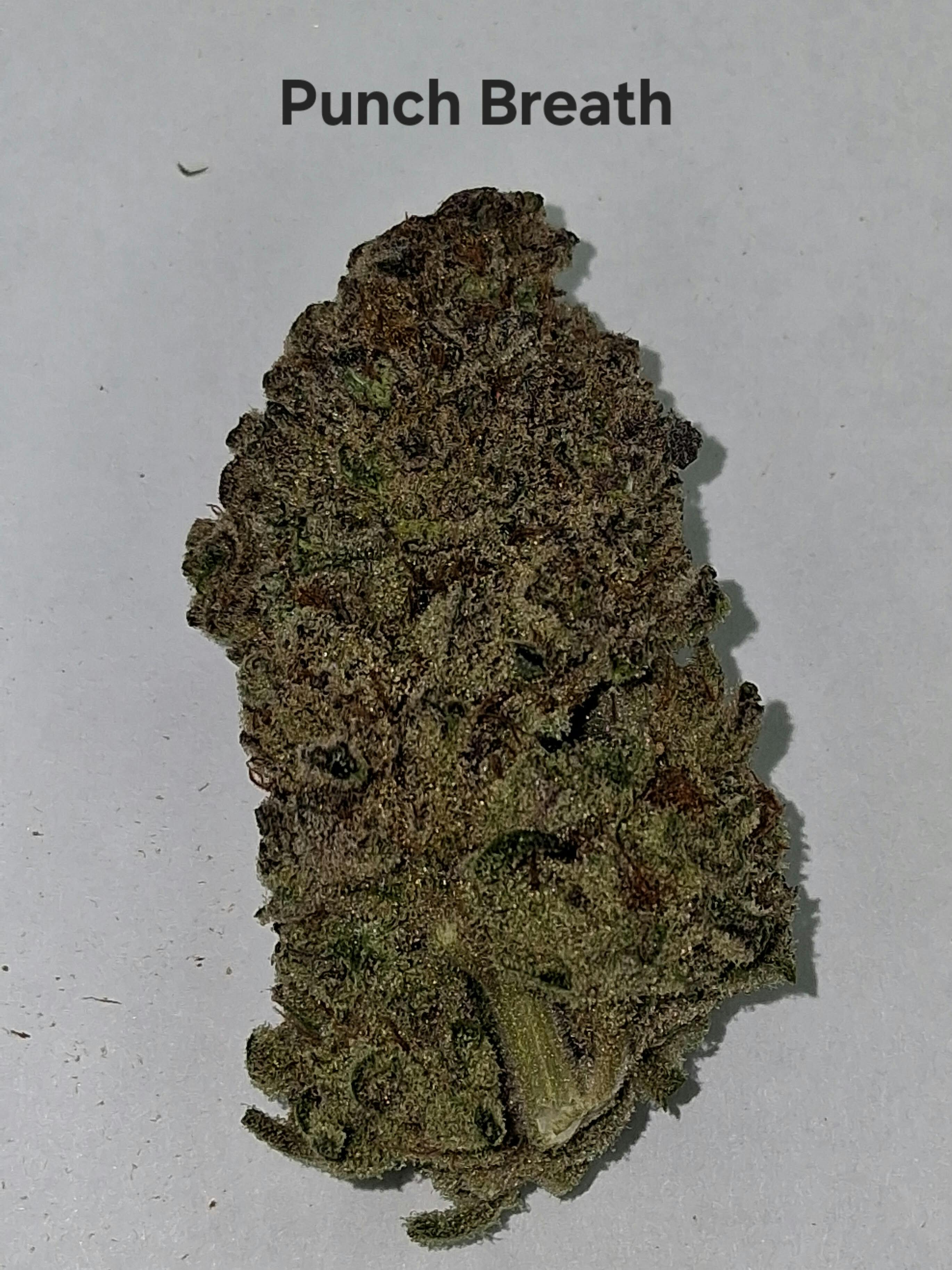 Punch Breath: A Bud/top Shelf-greenway Farm